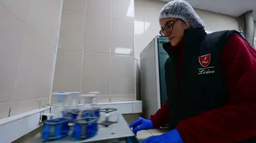 Türkiye'nin Kedi Köpek Maması İhracatı 10 Yılda 122 Milyon Dolara Ulaştı