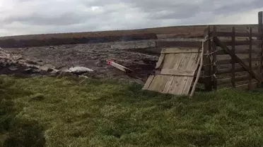 Tekirdağ'ın Muratlı ilçesinde çıkan yangında 3 ağıl küle döndü
