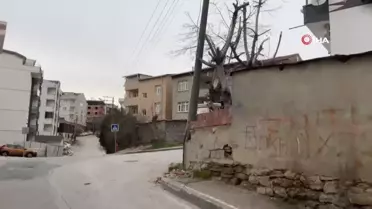 Beton elektrik direği ağaçla destekleniyor