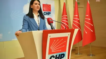 CHP Genel Başkan Yardımcısı Gökçe Gökçen'den Çöpler Altın Madeni açıklaması