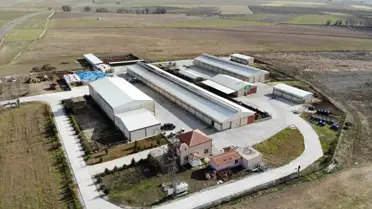 Yozgat'ta Müzik Dinleyen İneklerin Süt Verimi Artıyor