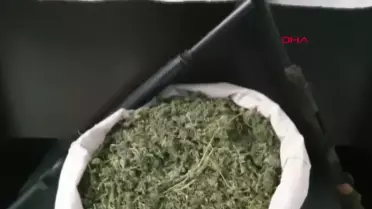İzmir'de yapılan operasyonda 11,5 kilo esrar ele geçirildi, 2 kişi gözaltına alındı