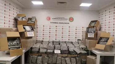 Ticaret Bakanlığı Gümrük Muhafaza ekipleri uyuşturucu ve kaçak çay operasyonları düzenledi