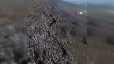 Batman'da 5 gün kayalıklarda mahsur kalan keçi kurtarıldı