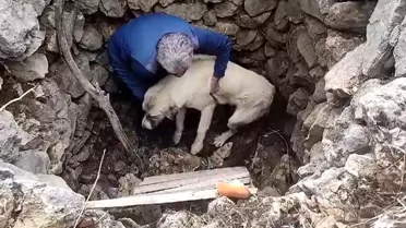 Konya'da mahsur kalan köpek kuyudan kurtarıldı
