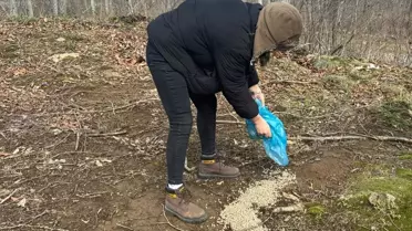 Samsun'da Gençler Yaban Hayvanları İçin Doğaya Yem Bıraktı