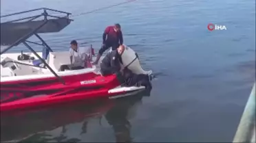 Fırat Nehri'ne atlayan kadını vatandaşlar kurtardı