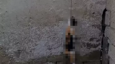 Şereflikoçhisar'da, iple asılı halde kedi bulundu