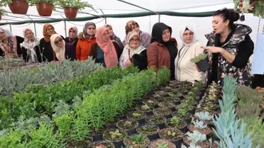 Eskişehir'de Kadın Çiftçilere Süs Bitkisi Yetiştirme Eğitimi Verildi