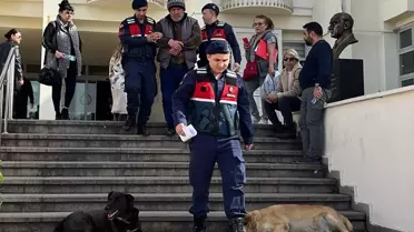 Bodrum'da 6 köpek ve 3 kedinin ölümüne neden olduğu iddiasıyla tutuklama