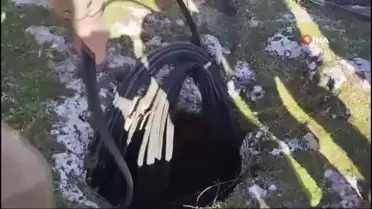 Diyarbakır'da 1 Milyon TL Değerinde Fiber Optik Kablo Ele Geçirildi