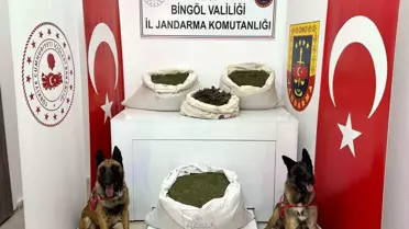 Bingöl'de 57 Kilogram Esrar Maddesi Ele Geçirildi