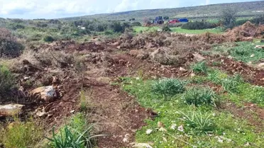 Aydın'da Hazine Arazisine İzinsiz Yer Açan Şahıslar Yakalandı