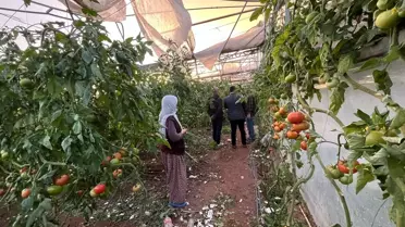 Antalya'da sağanak ve fırtına hayatı olumsuz etkiledi
