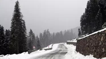 Ilgaz Dağı'nda Kar Yağışı