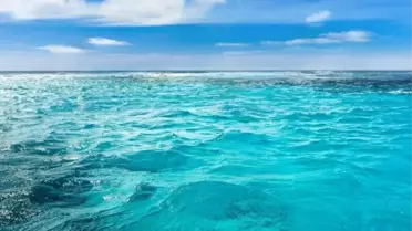 Şubat Ayında Deniz Sıcaklıkları Rekor Seviyeye Ulaştı