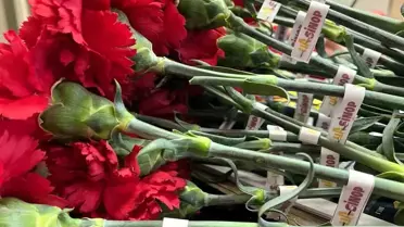 UltrAslan, Sinop'ta Kadınlara Çiçek Dağıttı