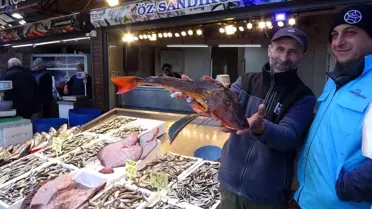 Trabzon'da Ramazan'da balık fiyatları dikkat çekti