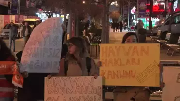 'Eros' isimli kediyle ilgili davadan çıkan karara tepki