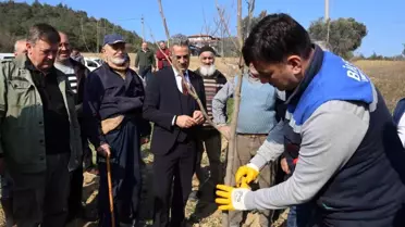 Bilecik'te çiftçilere ağaç budama eğitimi verildi