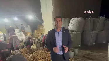 CHP Genel Başkan Yardımcısı: TMO 1 Milyar TL Zarara Uğratıldı