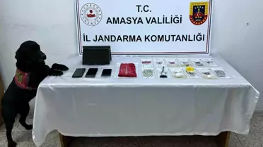 Amasya'da yapılan aramada uyuşturucu bulunan araçta 4 kişi tutuklandı
