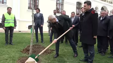 Bakan Uraloğlu Bilecik'te çınar fidanı dikti