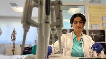 Türkiye'deki Saf Arı Irkı Sayısı Azaldı