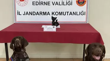 Edirne'de Biblo İçerisine Gizlenen Sentetik Uyuşturucu Bulundu