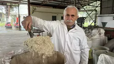 Karadeniz Tarımsal Araştırma Enstitüsünde Kenevir Atıklarından Yakıt Üretildi