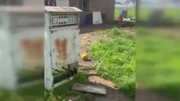 Mardin'de Dünya Su Günü'nde kaçak elektrikle tarla sulandı