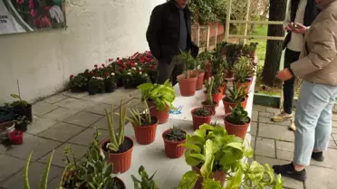 Ankara Büyükşehir Belediyesi 'Çiçeğim Takas' Projesine Devam Ediyor