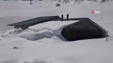 Muş'ta tek katlı ev ve ahırlar kara gömüldü