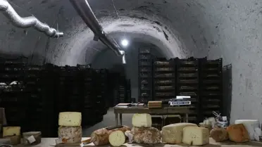 Makine Mühendisi Çiftin Yeraltı Peyniri Yabancıların İlgisini Çekti