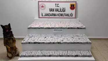 Van'da Jandarma Operasyonunda 14 Kilo Eroin ve 59 Bin Adet Sentetik Hap Ele Geçirildi