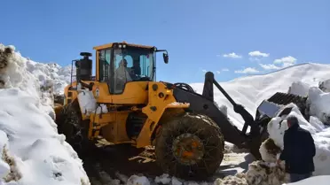 Hakkari Şemdinli'de Karla Mücadele Çalışmaları Devam Ediyor