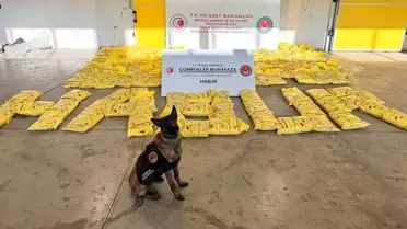 Şırnak Valisi Cevdet Atay, Gümrük Muhafaza ekiplerini tebrik etti