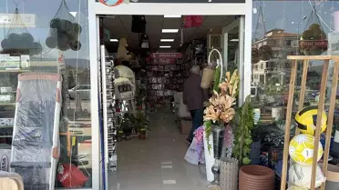 Düzce'de Aç Kalan Tilki Dükkana Girdi