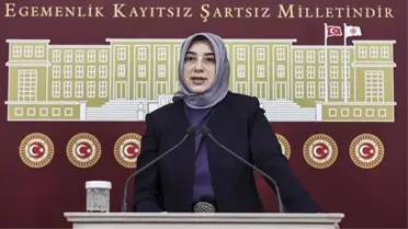 AK Parti'den Özlem Zengin'in görevden alındığı iddialarına yalanlama: Görevinin başında