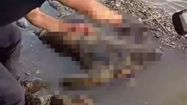 Hatay'da Asi Nehri'nde erkek cesedi bulundu