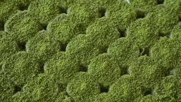 TSE, Türk baklavasının şeker oranını düşürdü