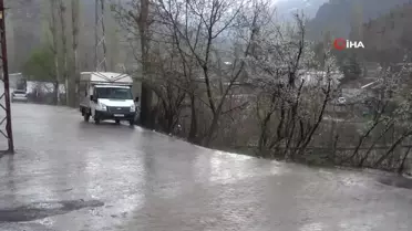 Şırnak'ta dolu yağışı etkili oldu