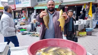 Muş'ta kırmızı et fiyatları yükselince vatandaşlar beyaz ete ve balığa yöneldi