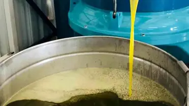 Mersin'de Üretilen Zeytinyağı AB Komisyonu Tarafından Kayıt Altına Alındı