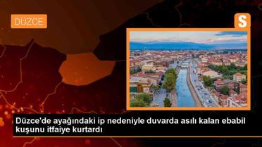Düzce'de ip sıkışan ebabil kuşu itfaiye ekiplerince kurtarıldı