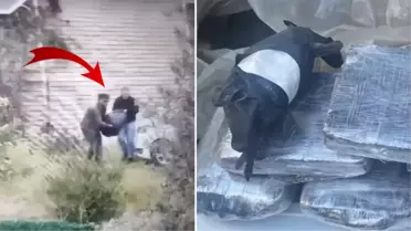 Narkoçelik-11 operasyonunda 608 kilogram kokain ele geçirildi! Yakalanan 3'ncü en büyük miktar