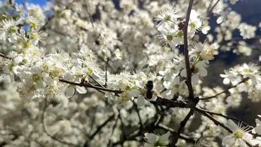 Erzurum'da Dört Mevsim Bir Arada