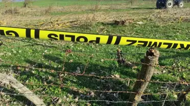 Eflani'de Ağaç Kesimi Sırasında Kaza: Bir Kişi Hayatını Kaybetti