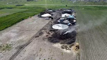Adana'da Narenciye Ağaçları Mangal Kömürüne Dönüşüyor