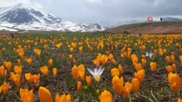Eğrigöl, tabii güzellikleriyle hayran bırakıyor